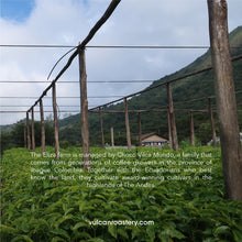 Load image into Gallery viewer, ECUADOR - ELIZA FARM - NATURAL ANAEROBIC
