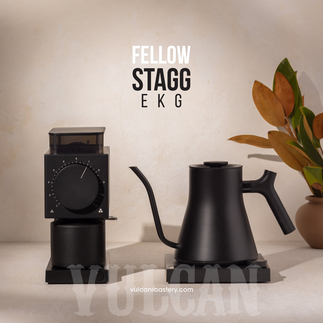 FELLOW STAGG EKG PRO