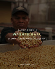 تحميل الصورة في عارض المعرض ،PANAMA TREASURY SET - BAMBITO ESTATE
