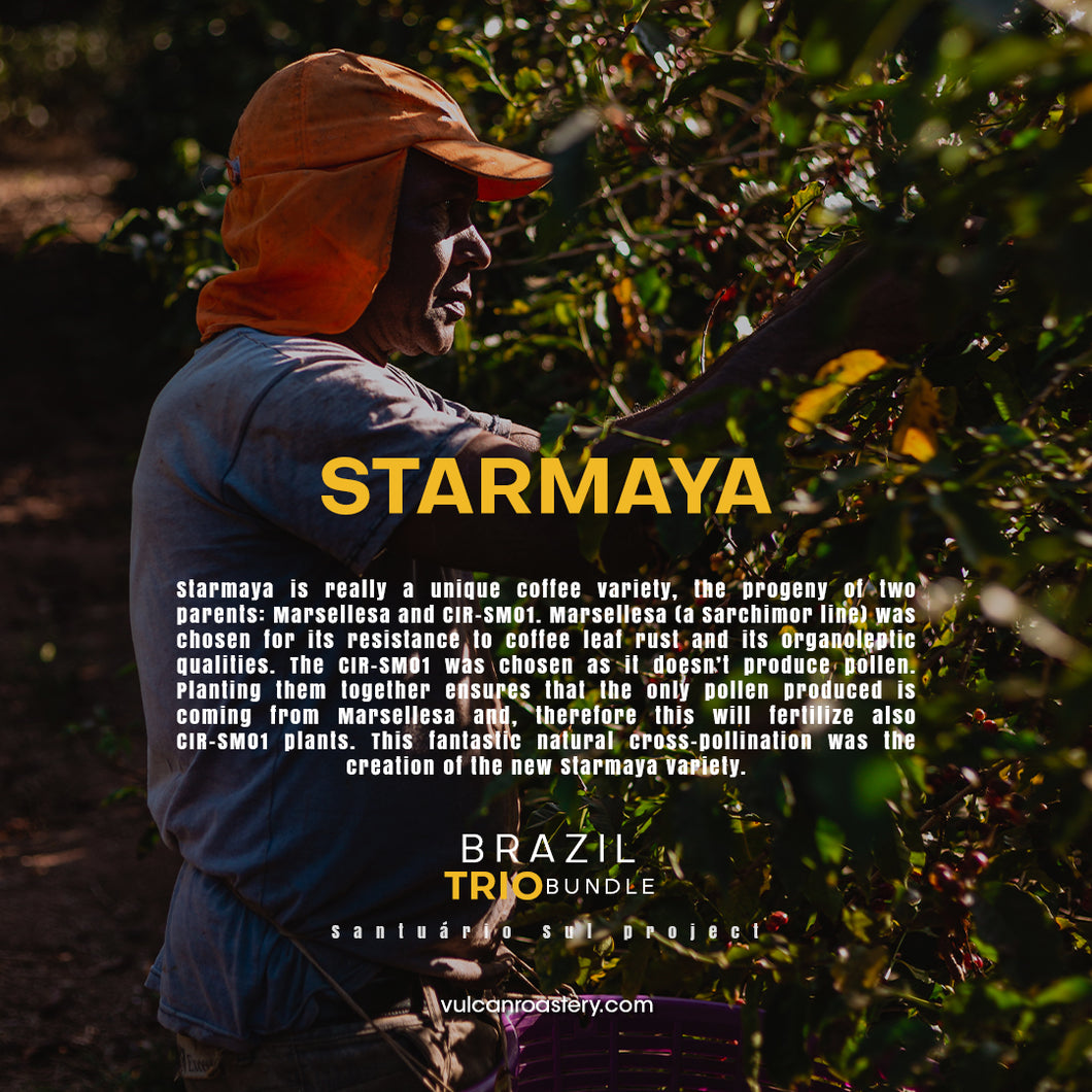 STARMAYA - SANTUARIO SUL BRAZIL