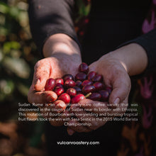 Load image into Gallery viewer, BRAZIL - SUDAN RUME - NATURAL FERMENTED
