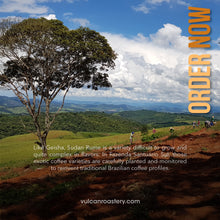 Load image into Gallery viewer, BRAZIL - SUDAN RUME - NATURAL FERMENTED
