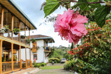 Load image into Gallery viewer, TRES DRAGONES - CAFE GRANJA LA ESPERANZA - COLOMBIA
