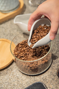 BEANS DOSING TRAY - LOVERAMICS