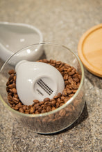 Load image into Gallery viewer, BEANS DOSING TRAY - LOVERAMICS
